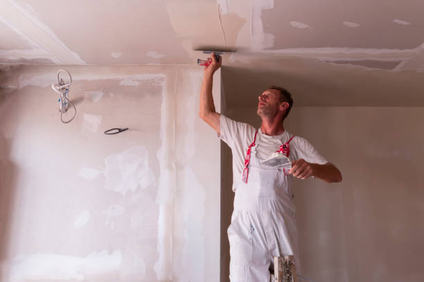 Best Ceiling Drywall Installation  in Gang Mills, NY